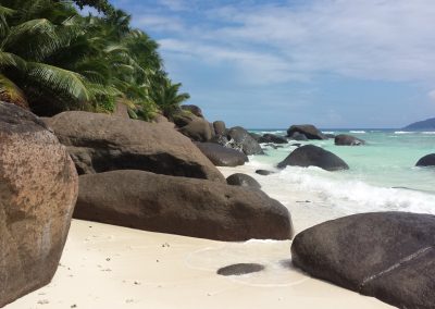 GreenSteps-Travel-Seychellen-Silhouette