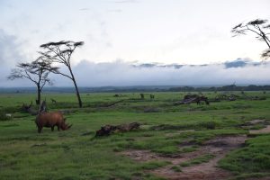 GreenSteps-Travel--Kenia-Lewa wilderness-mount Kenia