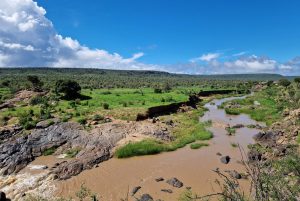 GreenSteps-travel-kenia-safari-Lewa-wilderness