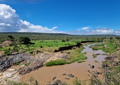 GreenSteps-Travel-Kenia-safari-Laikipia