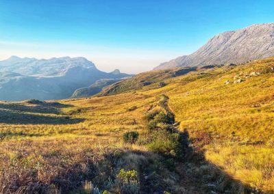 Crafted Africa_Mulanje Mountain1