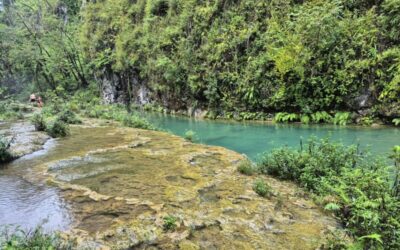 Met vertrouwen op reis